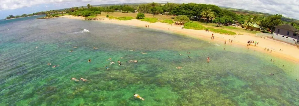 Hawaii-turtle-tour-drone