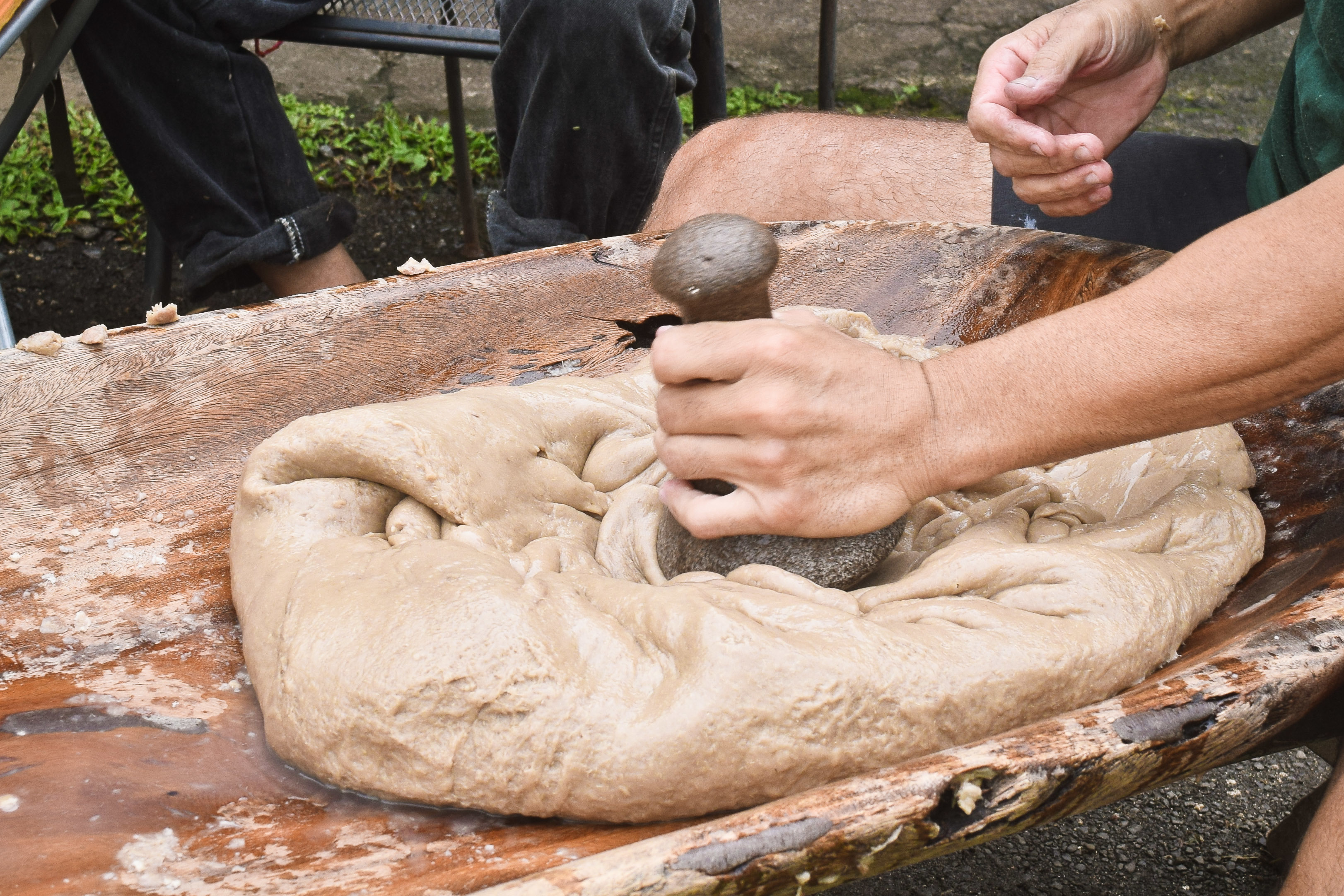 hawaiian-poi.jpg?mtime=20180911065622#asset:3577