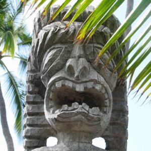 Historic Kona Coast and Farm Tour