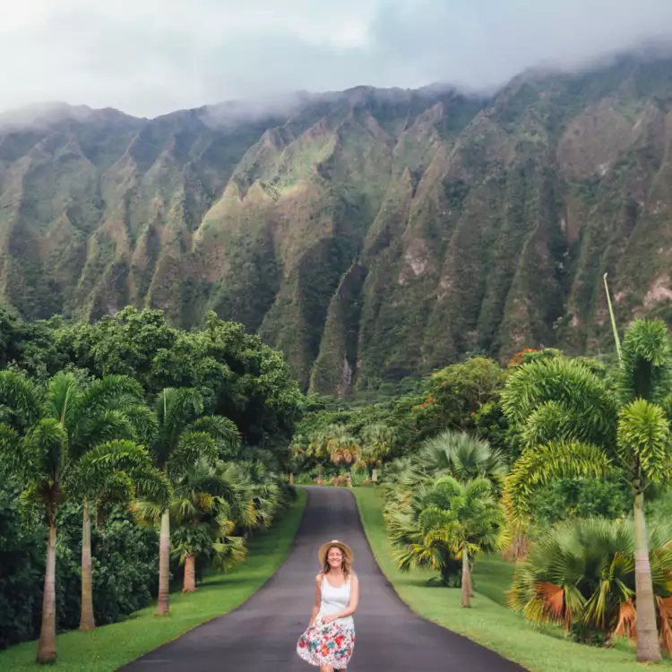 Captain cook background