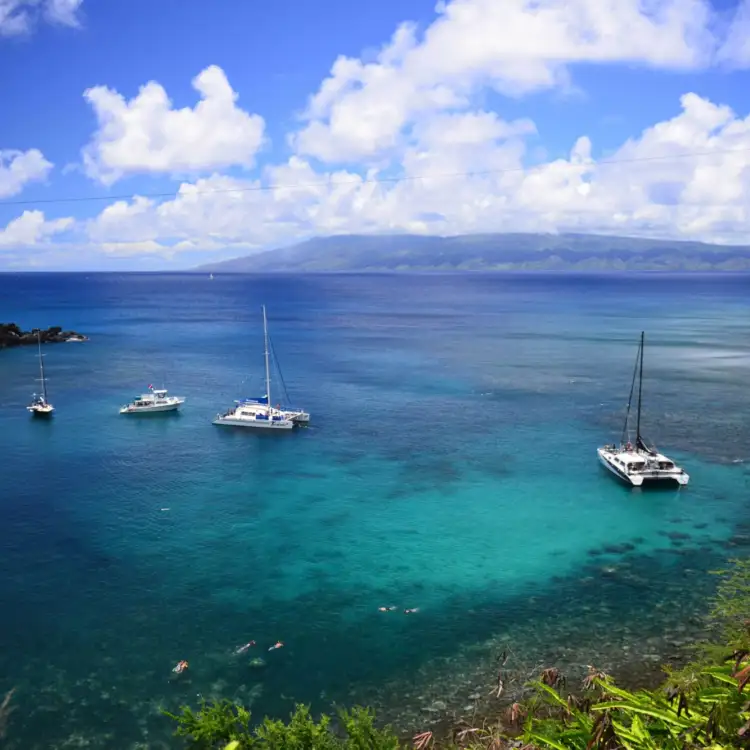 Maui home background