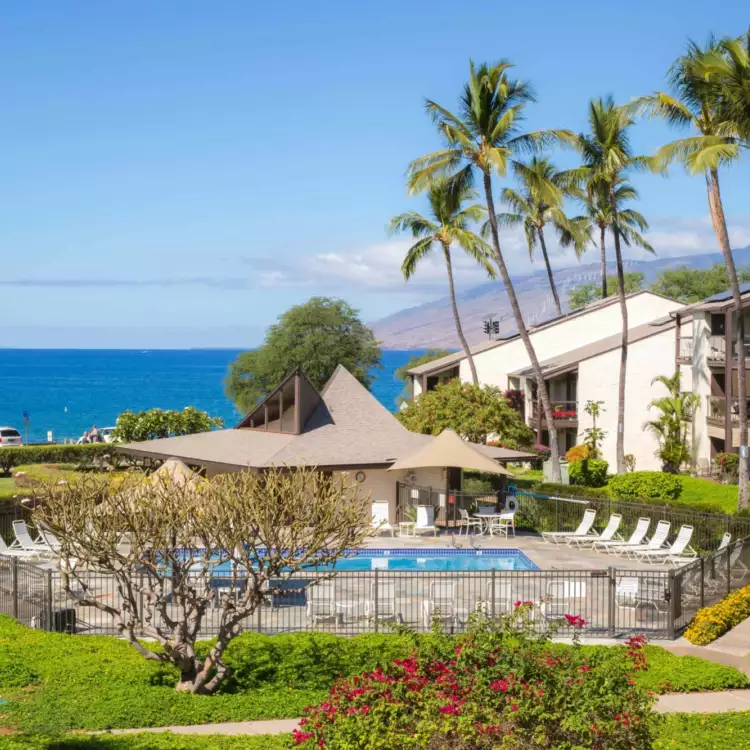 Hale kamaole background 1