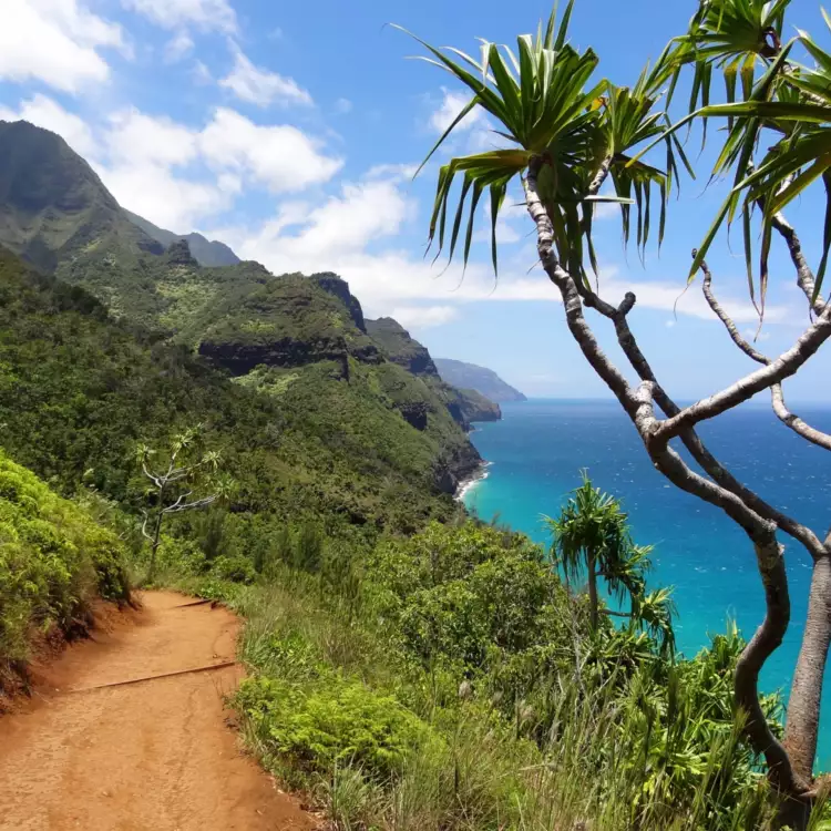 Napali coast 91676