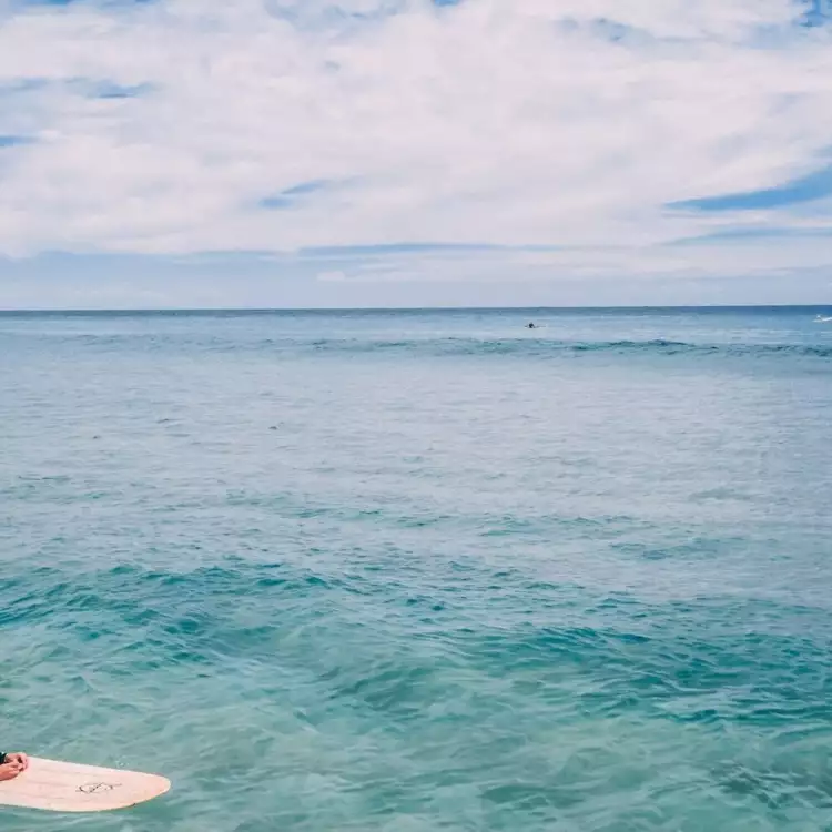Hawaii surfer girl