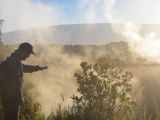 Steam, Sulphur, and Crater Views: Why the Sulphur Banks Trail is a Must-Do in Hawaiʻi Volcanoes National Park