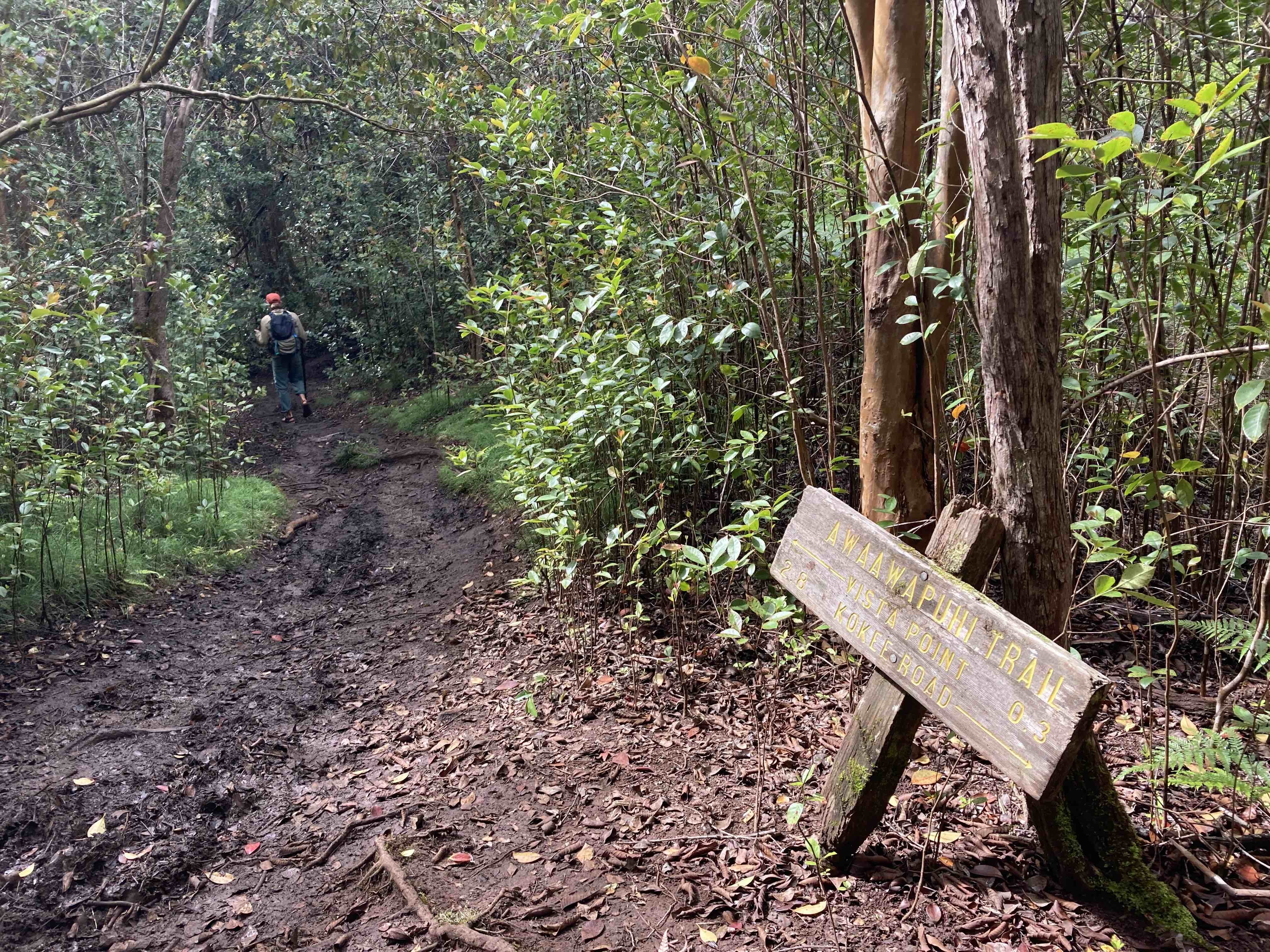 Nualolo Cliffs Trail to Awaawapuhi Trail