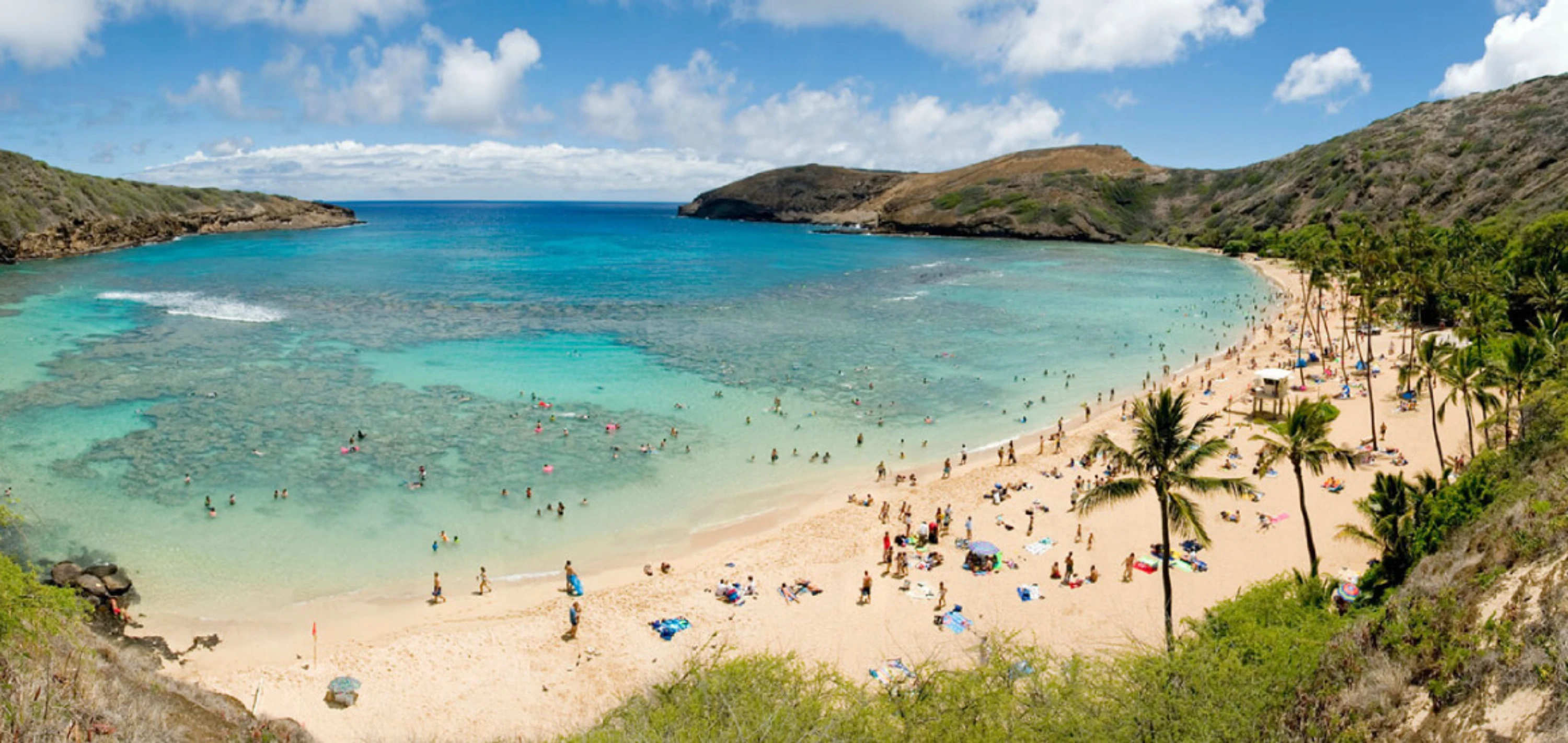 Waikiki beach rentals background