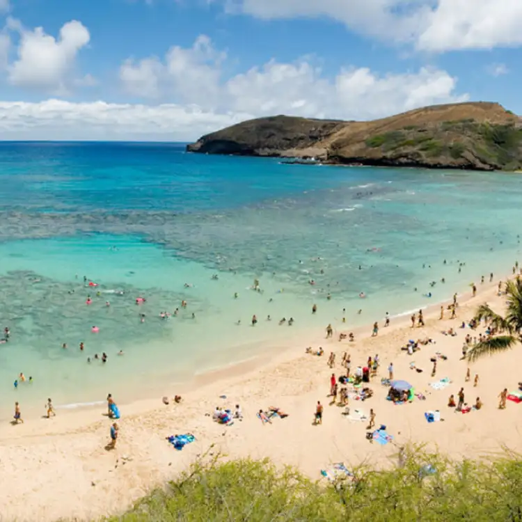 Waikiki beach rentals background