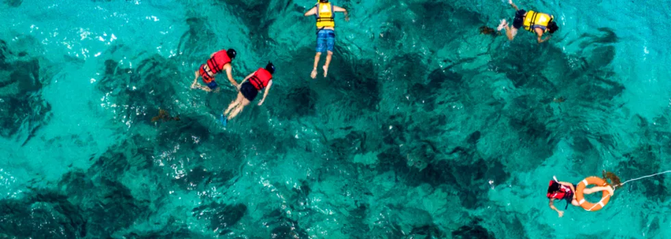 Drone photo turtle canyon