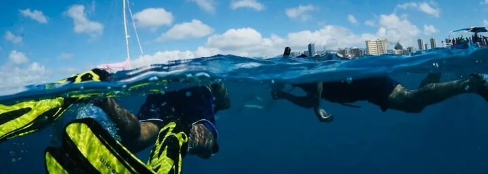 Snorkel fins waikiki