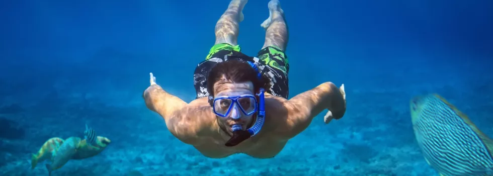 Snorkel tour oahu