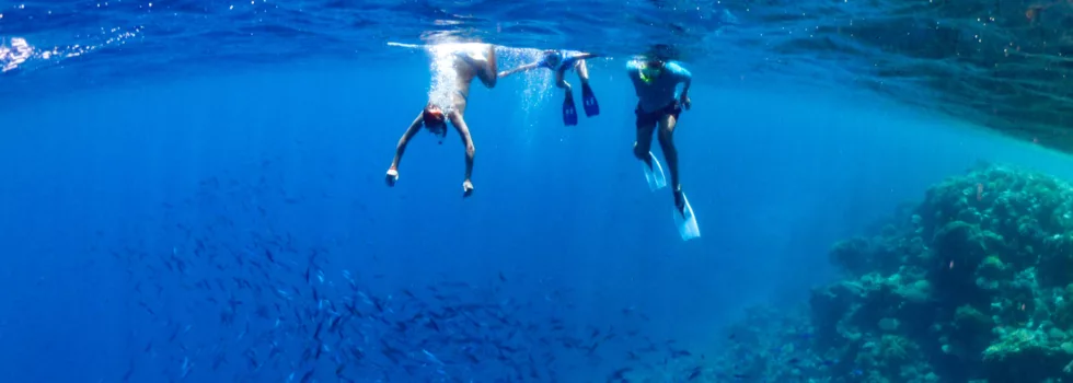Turtle canyon snorkel photo oahu
