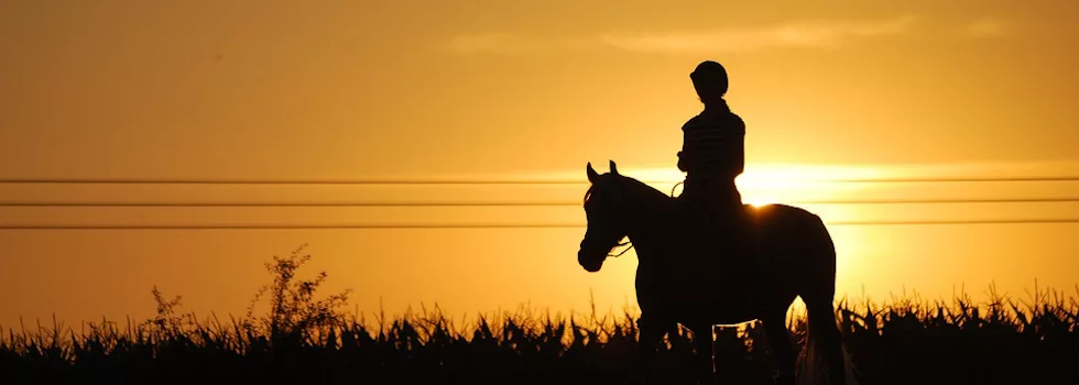 Horse Back Ride Sunset