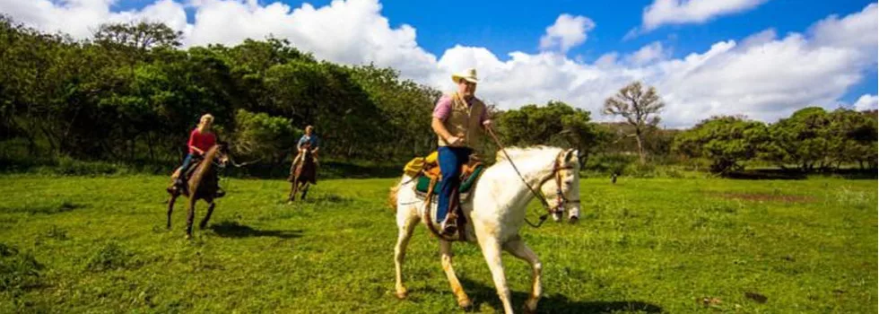 Gallup Horseback Oahu