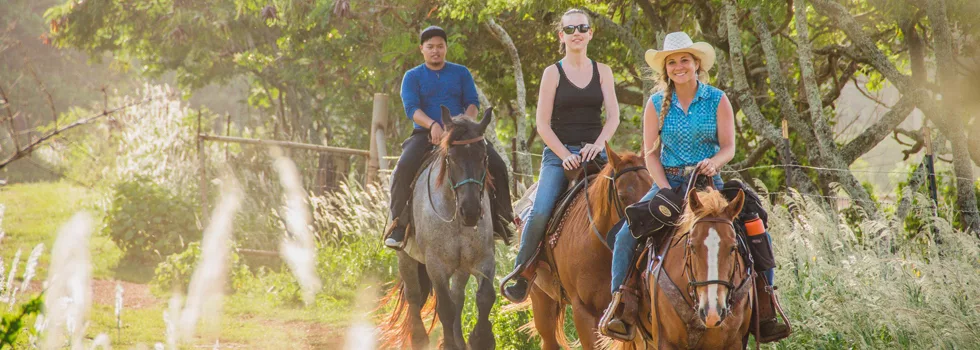 Horse Ride Hawaii