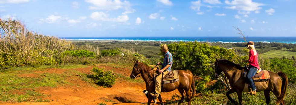 Mountain Horse Ride Hawaii