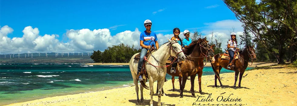 Horse Ride On The Beach Hawaii
