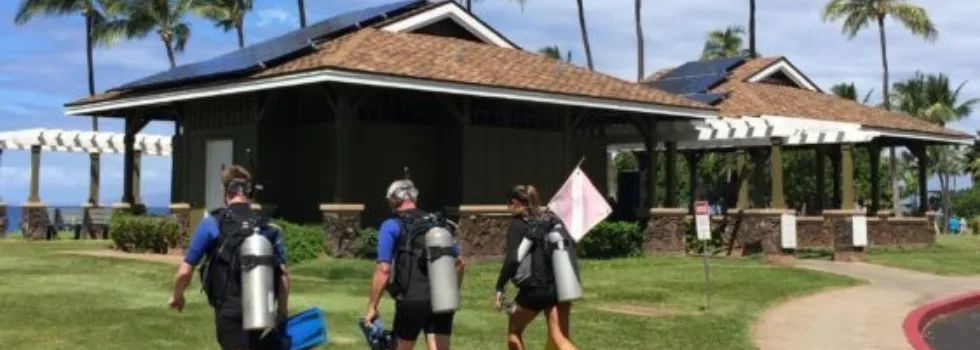 Kaanapali beach refresher dive