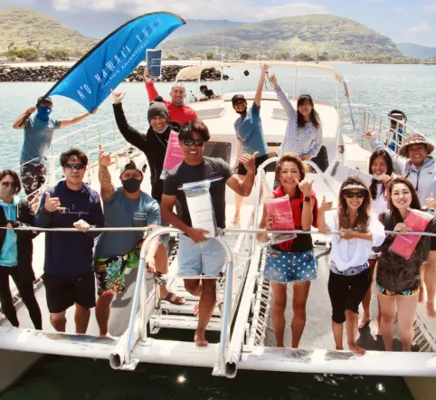Swim with Wild Dolphins and Turtles photo 5