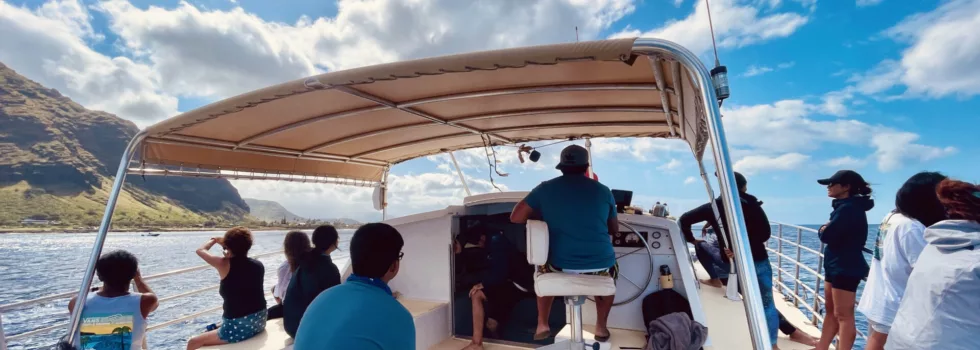 Dolphin boat hawaii