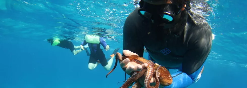 Snorkeling west oahu cruise