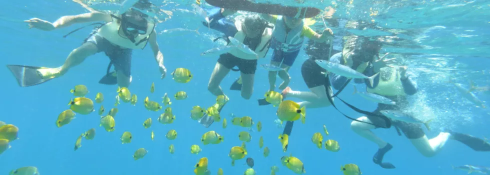 Waikiki Turtle Snorkel catamaran