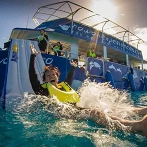 West Side Dolphin Adventure & Activity Boat