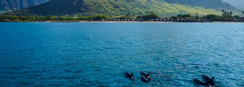 Waianae mountain range view