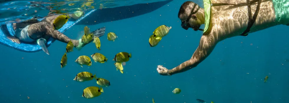 Reef snorkel west oahu