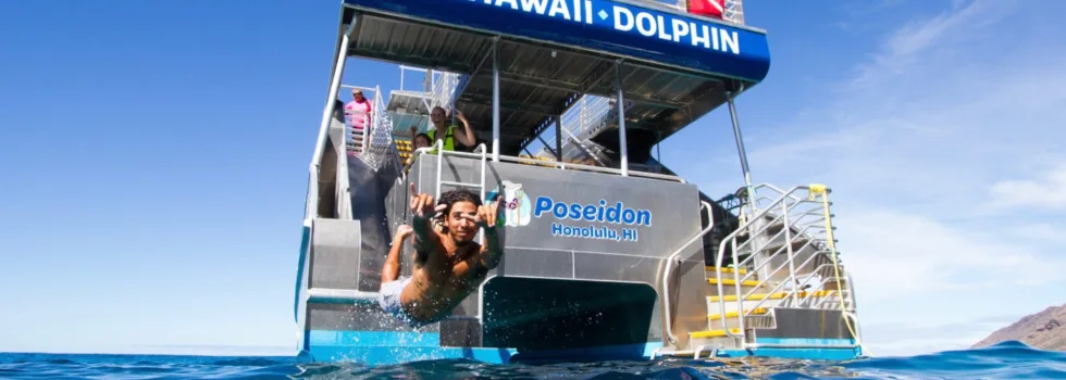 Dolphin swim water slide west oahu