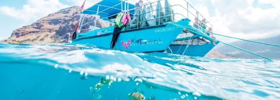 Daimond head catamaran