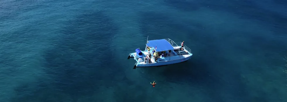 Small catamaran waikiki tour