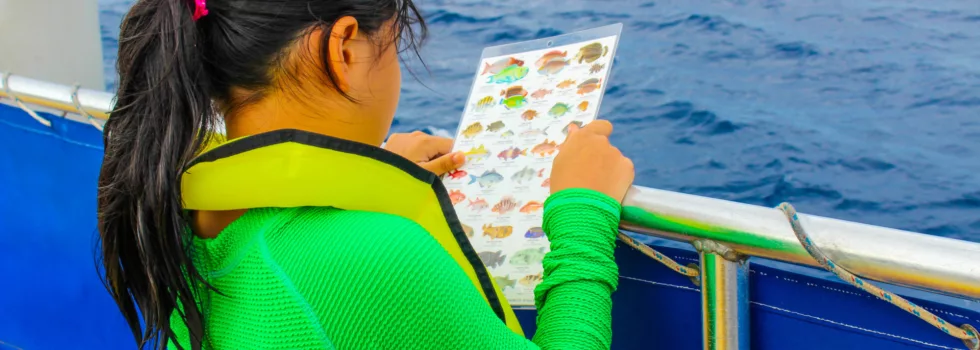 Child fish viewing card waikiki