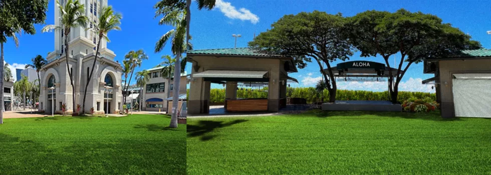 Ka moana luau location