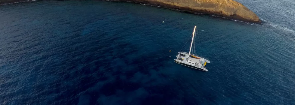Maui catamaran molokini