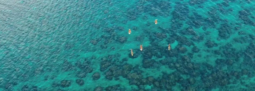 Paddling over coral heads kailua