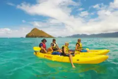 Guided Kayak to Mokulua Islands: Guided kayak tour hawaii 2021 05 30 222529 edrb
