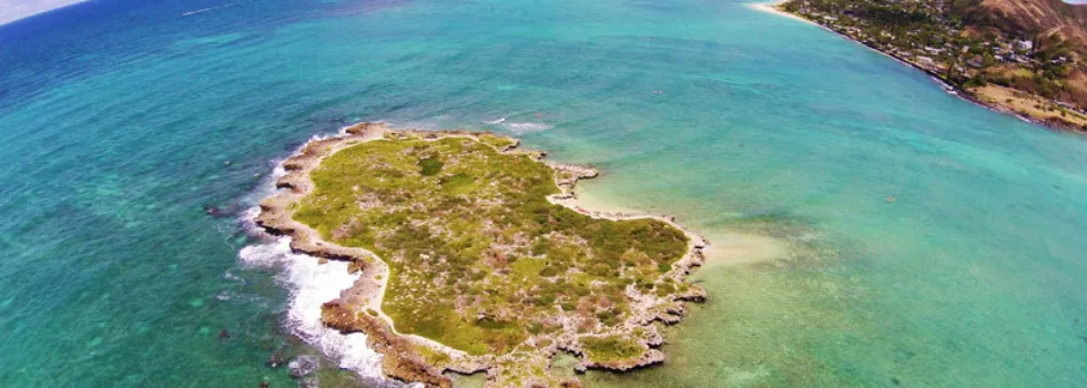 Flat island snorkel tour