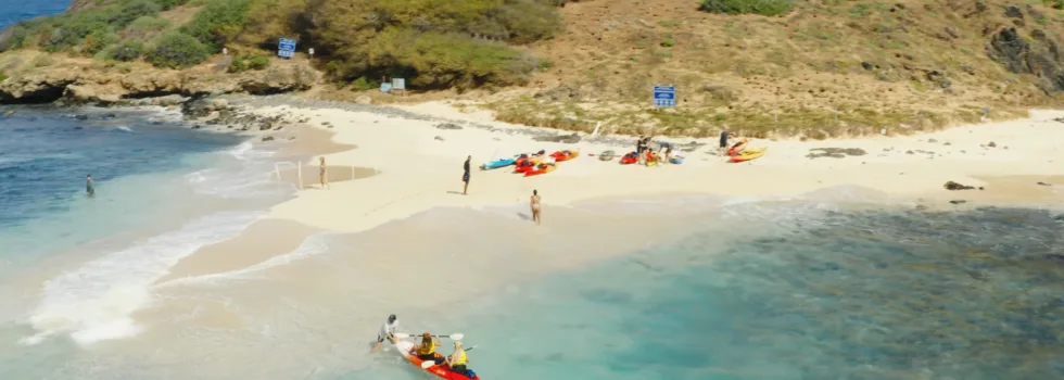 Kayaks landing moku nui