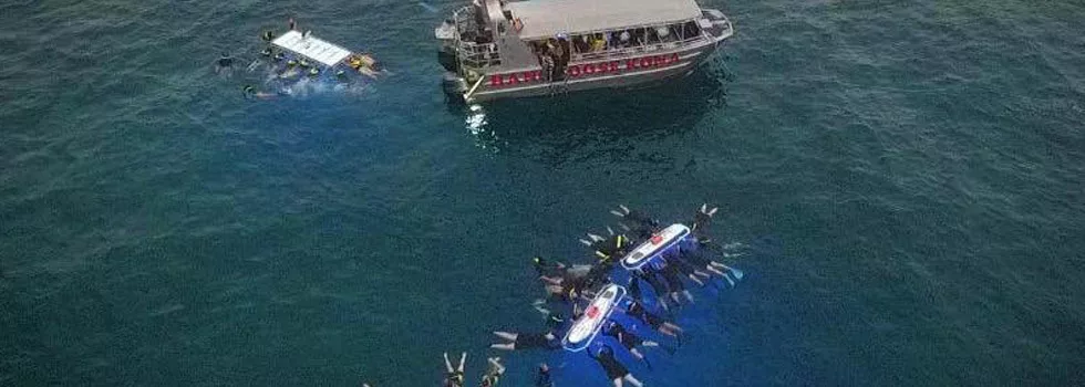 Manta-ray-snorkel-tour-kona