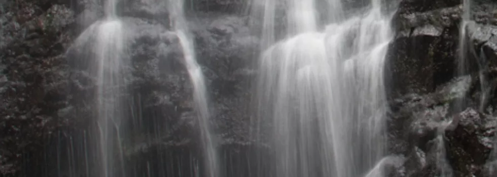 Manoa falls tour oahu hawaii