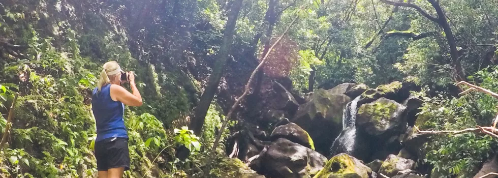 Tour of manoa falls oahu