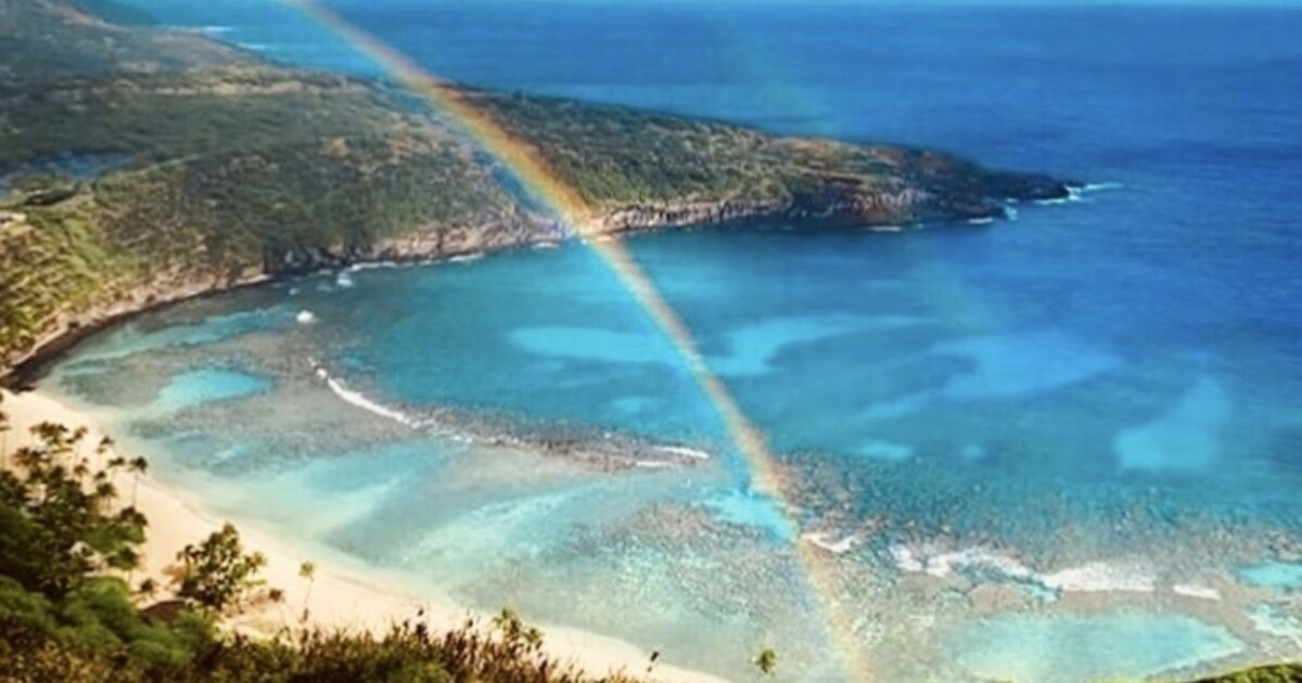 Hanauma Bay Snorkel Shuttle Adventure Tours Hawaii