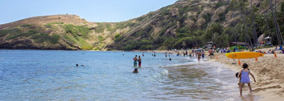 Shuttle to visit hanauma bay