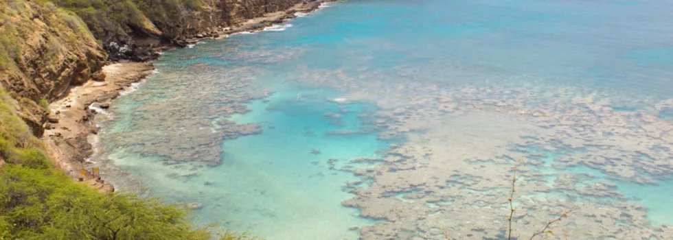 Visit hanauma bay shuttle