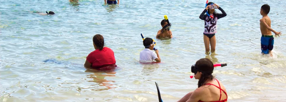 Waikiki shuttle to hanauma bay