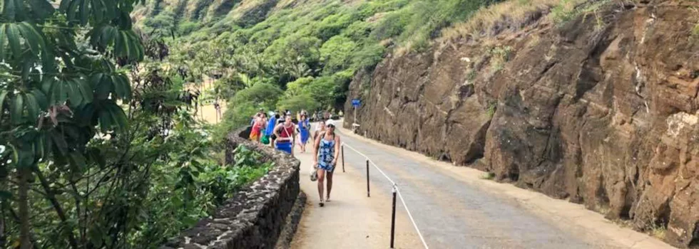 Walk down to hanauma bay
