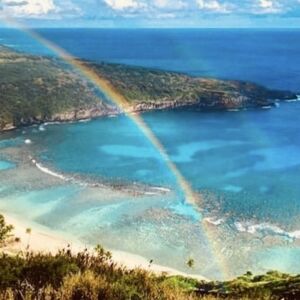 Shuttle to Hanauma Bay