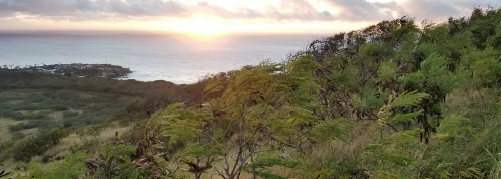 Hike diamond head sunrise