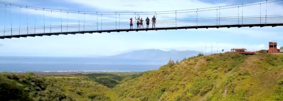 Zipline bridge maui
